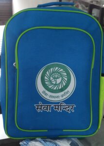 School College Delivery Laptop Bags Manufacturers